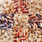 Arroz: qual dos grãos é melhor para sua saúde
