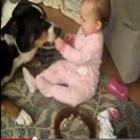 Bebê se diverte ao ficar dando biscoitos na boca do seu cachorro de estimação 