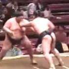 Tapa na cara em luta de sumô