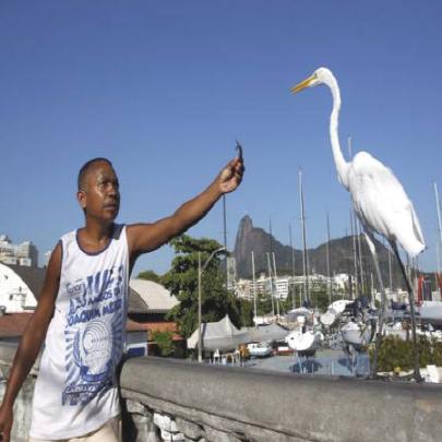 Conheça os bichos que são a cara do Rio de Janeiro