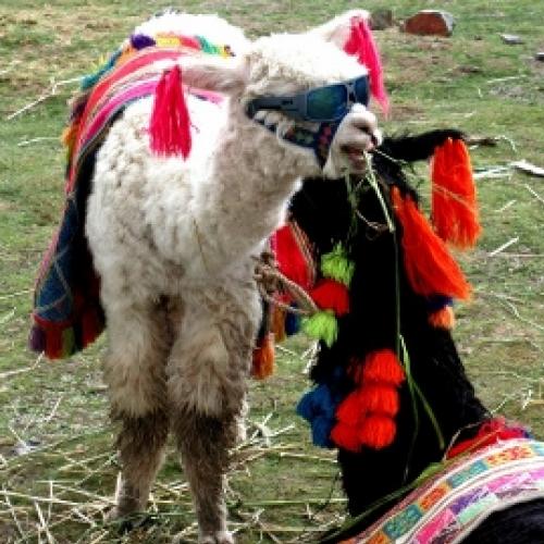 10 curiosidades que você precisa saber sobre Cusco