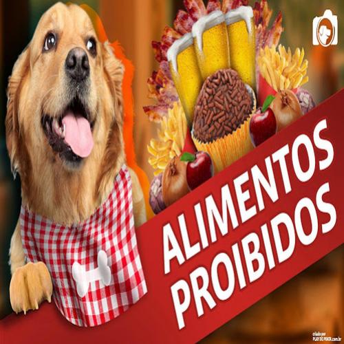 10 alimentos que são proibidos para os cães