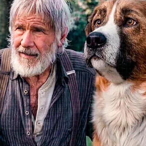 O Chamado da Floresta – Trailer com Harrison Ford e Buck