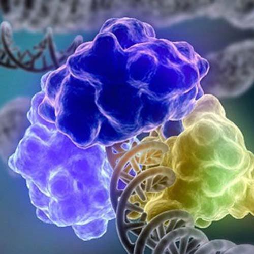 Cientistas chineses conseguem alterar DNA de embrião humano