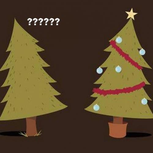 Árvores de Natal são preconceituosas