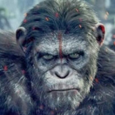 Novo trailer:  Planeta dos Macacos 2 - O Confronto, 2014.