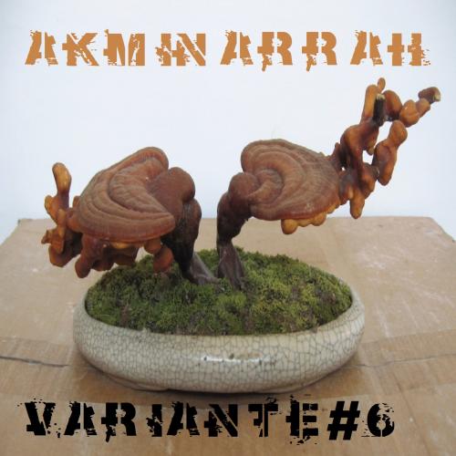 Akminarrah  - Variante#6 (videoclipe)