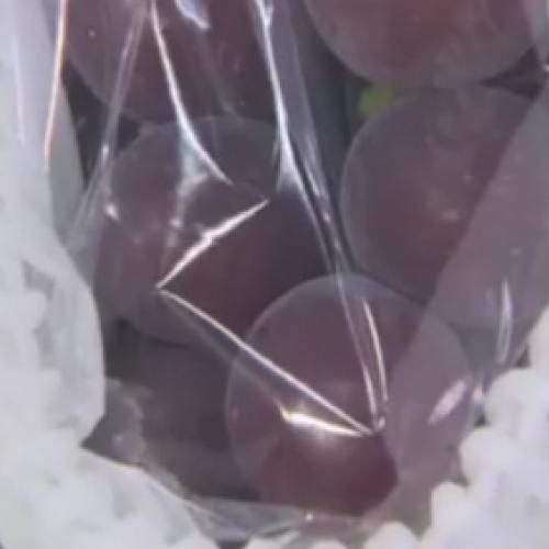 Você não vai acreditar quanto essas uvas custam