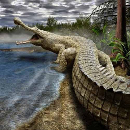 O maior “crocodilo” do Jurássico