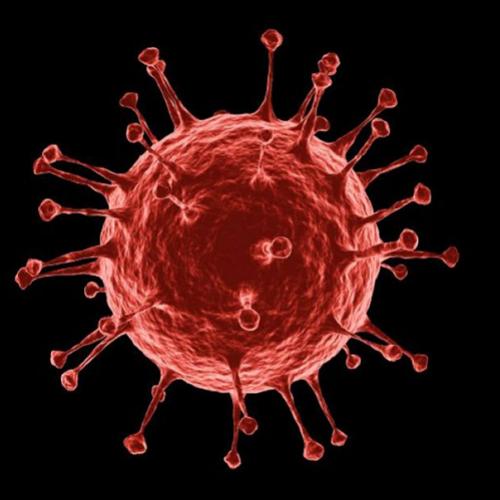 10 curiosidades surpreendentes sobre os vírus
