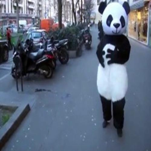 Olha, um panda!