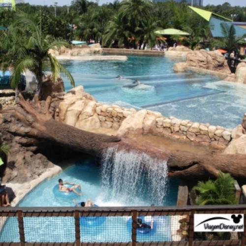 Conheça o Famoso Parque Aquático do SeaWorld em Orlando