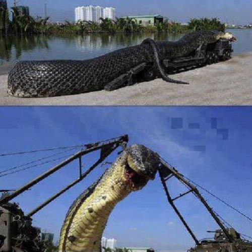 Conheça a cobra gigante que já existiu no mundo!