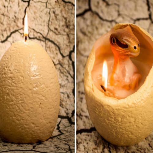  Essa vela é incrível ao ser queimada nasce um dinossauro