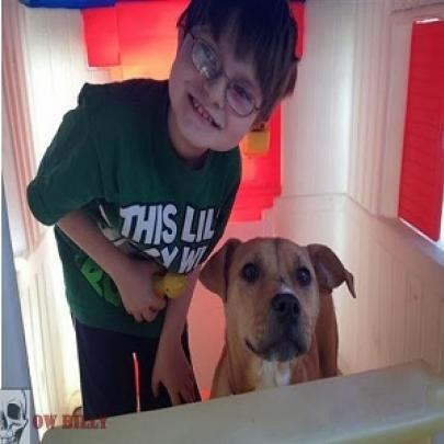 Como uma cachorra resgatada em estado terminal mudou vida de um garoto