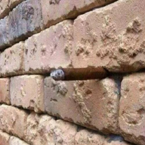 Esta ilusão óptica de uma parede de tijolo, está viralizando na web
