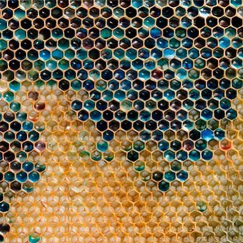 O mistério do mel colorido
