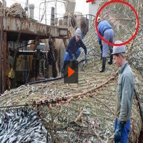 Estes pescadores apanharam algo incomum nas redes que semeou pânico 