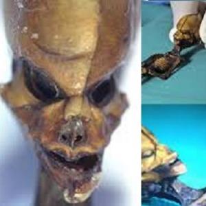 Esqueleto de aspeto alienígena é um mistério médico