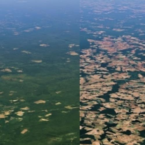 Veja a destruição de florestas ao redor do mundo com o passar do tempo