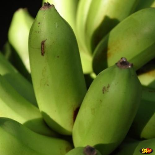 Banana verde na saúde