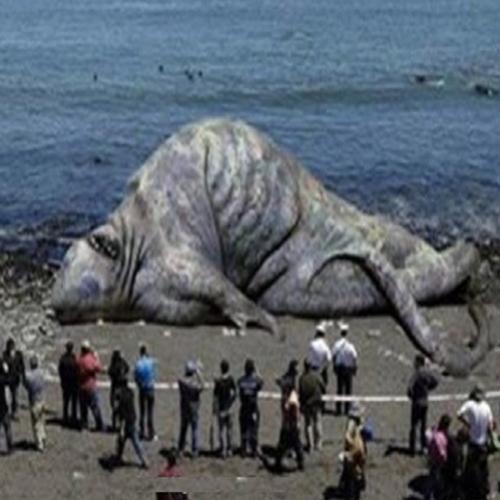  9 Monstros marinhos gigantes encontrados nas orlas marítimas 