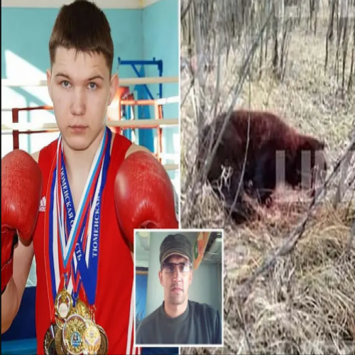 Boxer foi hospitalizado após lutar com o urso que matou seu amigo na R