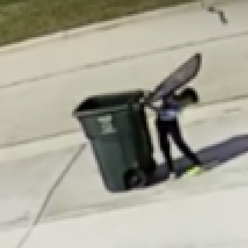 Criança perde briga para lata de lixo