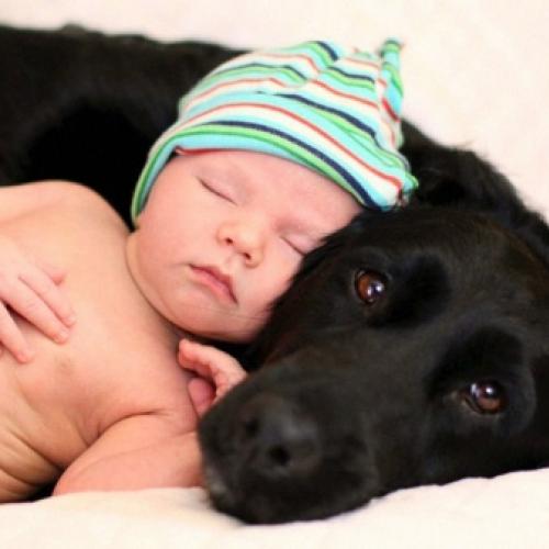 22 fotos maravilhosas de cães e crianças