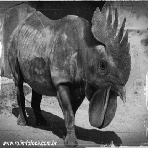  Encontrada foto antiga que prova a existência do Galoceronte