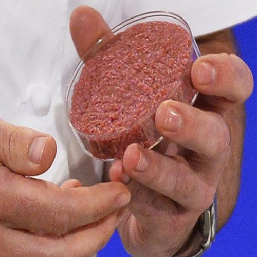 Em 2025, seu hambúrguer virá do laboratório