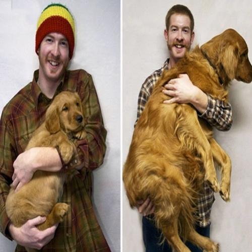 20 Imagens de pessoas mostrando seus animais antes e depois