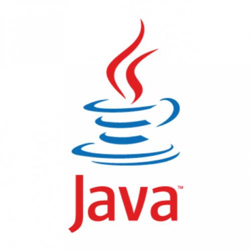 Curso Online Servidores Java Para Administradores