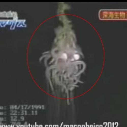 Criatura estranha filmada no fundo do mar