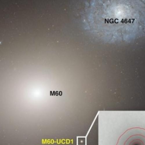 Surpresa! Buraco negro monstruoso é encontrado em galáxia anã
