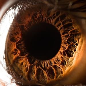 Veja uma fascinante foto de um olho com seus mínimos detalhes