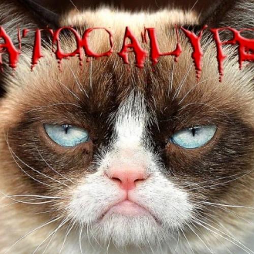 Gatocalypse - E se os gatos dominassem o mundo?