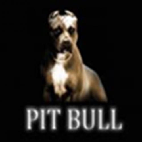 Como surgiu a raça dos Pit Bulls?