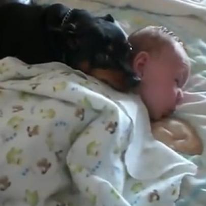 Cachorro não deixa ninguém acordar o bebê