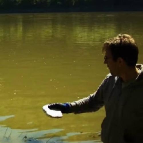 O que acontece se você jogar sódio em um rio?