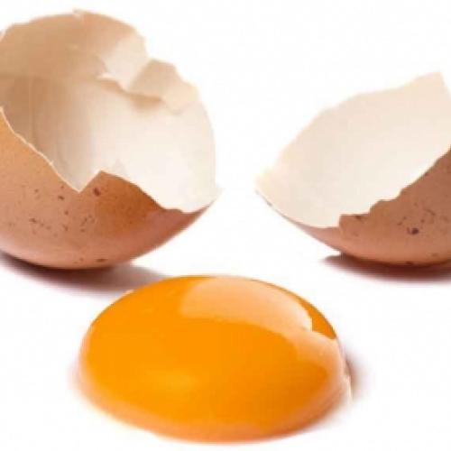 Conheça os benefícios da gema do ovo para a saúde.