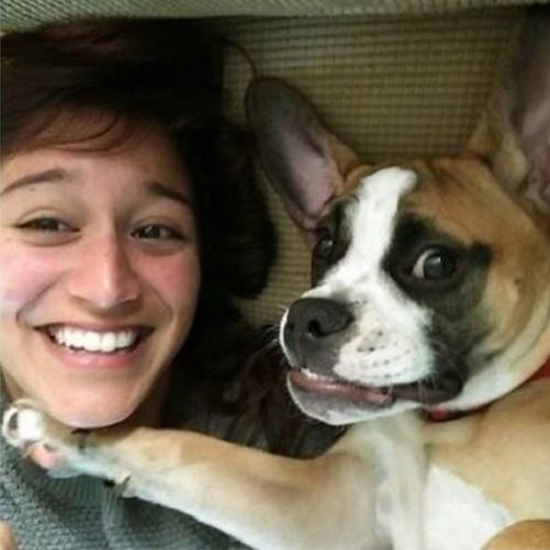 20 Cachorros que sabem tirar selfies melhores do que as suas