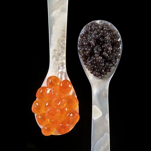 Conheça agora os alimentos mais caros do mundo