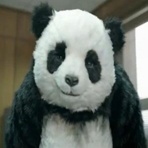 O panda agressivo finalmente foi assassinado