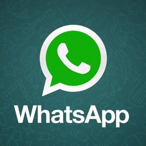 17 chateações comuns nos grupos de WhatsApp