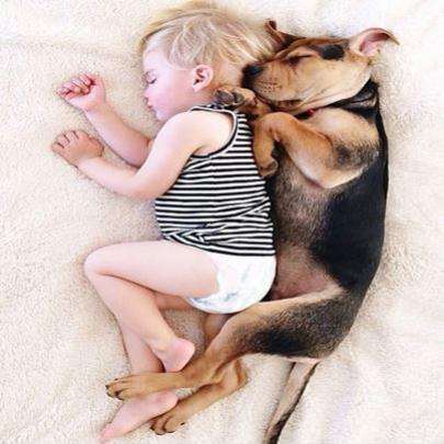 A incrível amizade entre uma criança e um cachorro