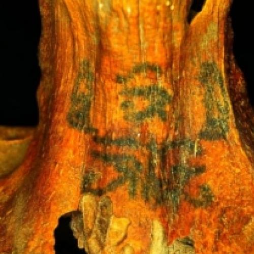 Múmia de mulher com 23 tatuagens foi descoberta no Egito.