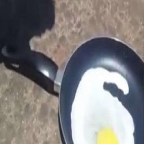 Jovem frita ovo no asfalto e vídeo viraliza pelas redes sociais