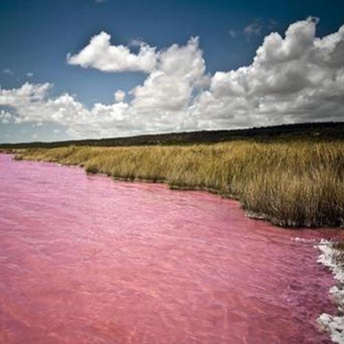 Conheça o lago rosa da Austrália