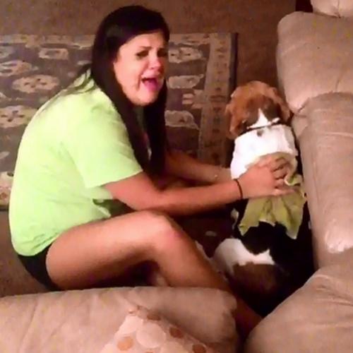 Menina reage engraçado ao machucar seu cão sem querer